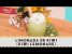Limonada de Kiwi (Kiwi Lemonade) – Receitas de Minuto EXPRESS #135