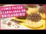 COMO FAZER CAROLINAS DE BRIGADEIRO | Doce de Padaria – Receitas de Minuto 396