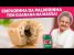 Fiz a EMPADINHA DA PALMIRINHA! Vai guaraná na massa, será que é boa mesmo ? Receitas de Minuto 649