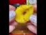 RECEITAS EM MINIATURA!